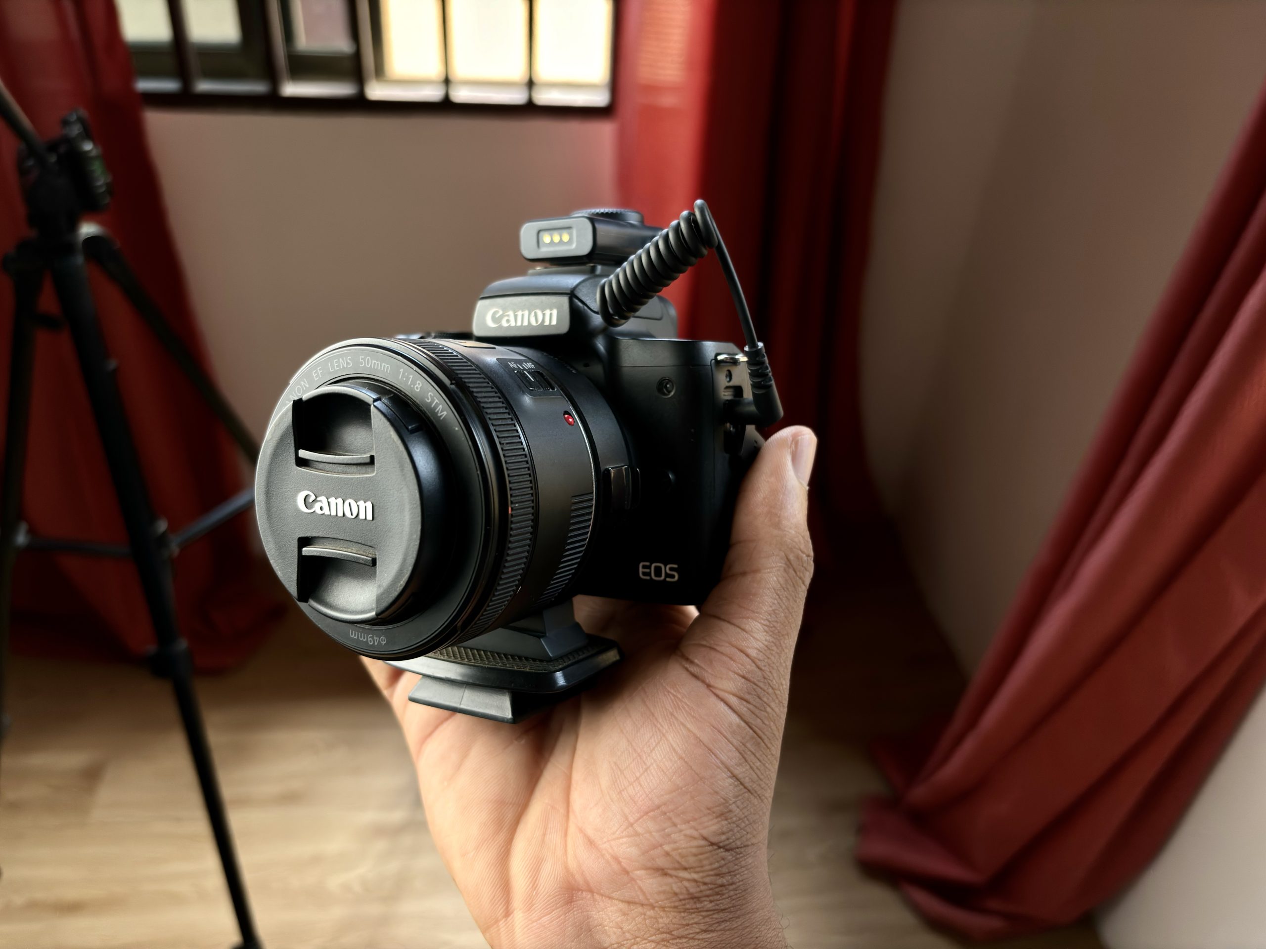 Mastering the Basics: Why the Canon M50 Mark II Remains a Budget-Friendly Powerhouse for Beginners in 2024